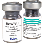 Phivax SLE